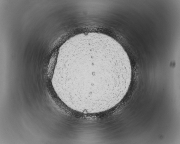 X0000113930642200911061220