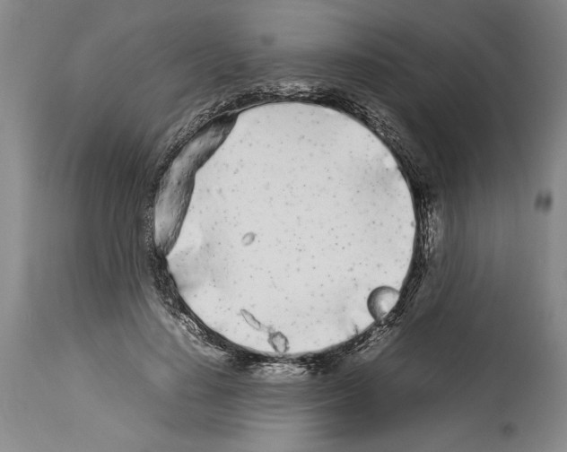 X0000113930644200911061220
