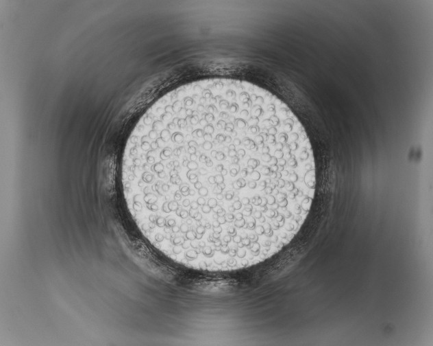 X0000113930646200911061220