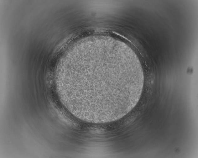 X0000113930648200911061220