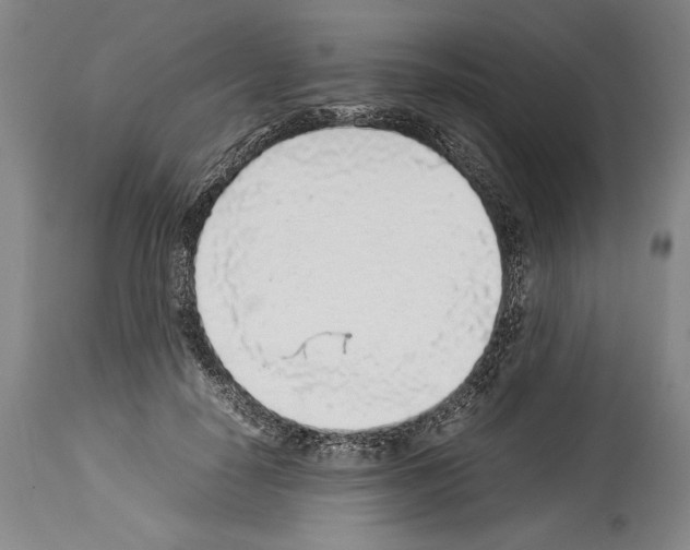 X0000113930650200911061220