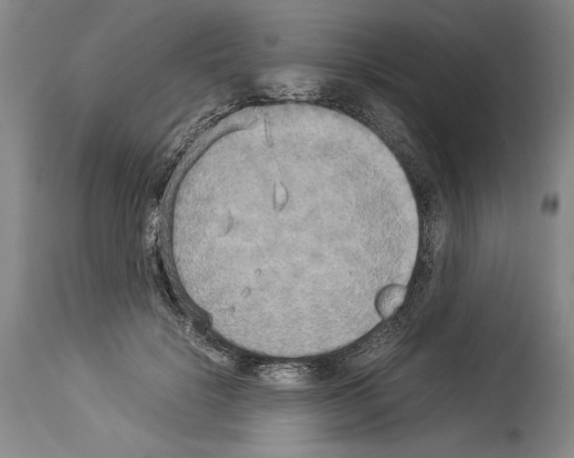 X0000113930652200911061220