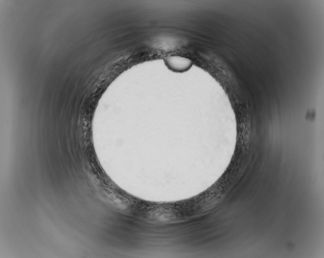 X0000113930653200911061220