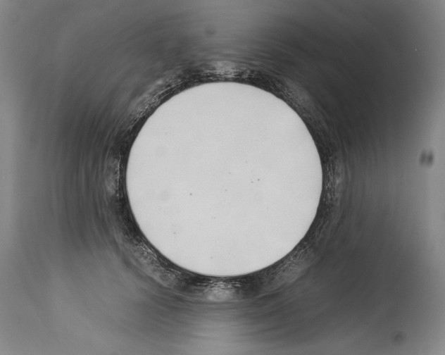 X0000113930656200911061220