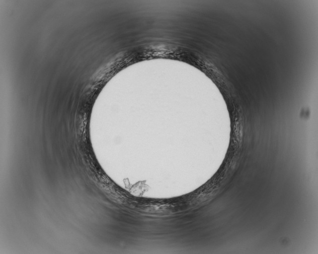 X0000113930657200911061220
