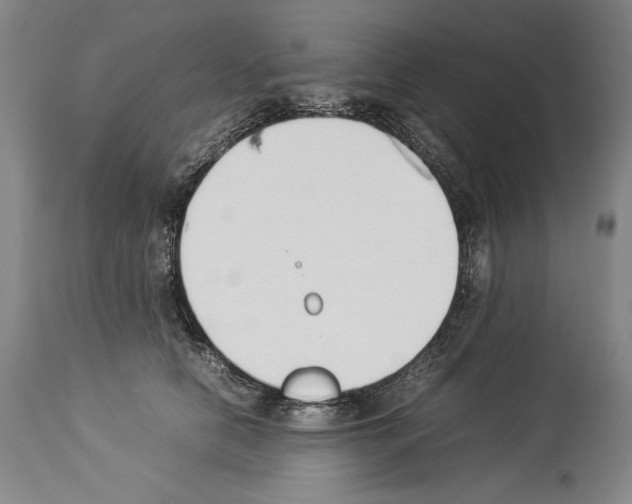 X0000113930658200911061220
