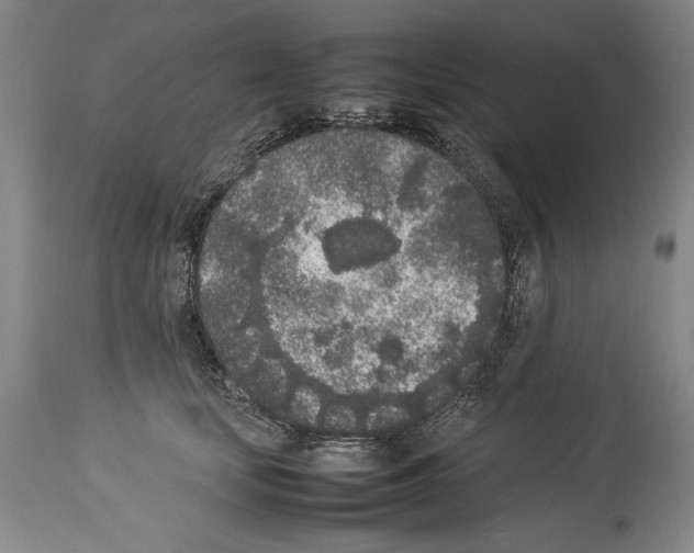 X0000113930659200911061220