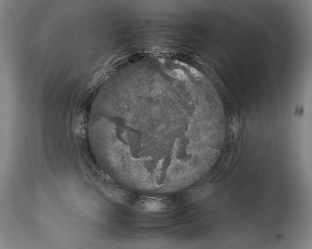 X0000113930663200911061220