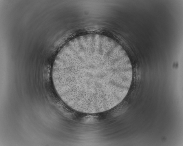 X0000113930664200911061220