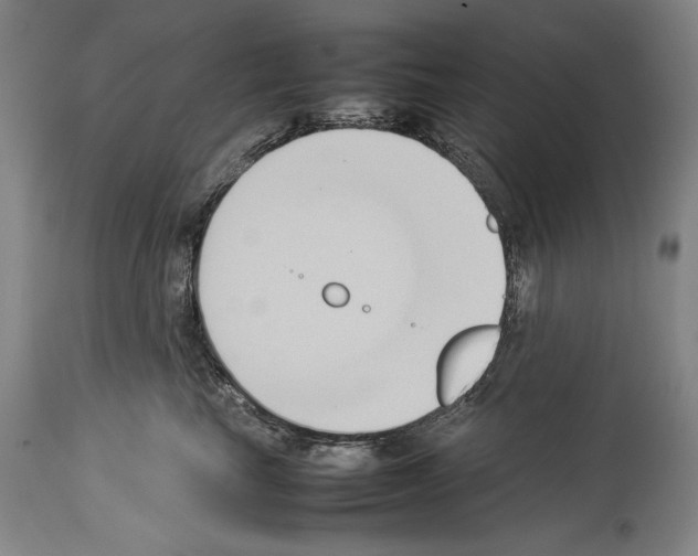 X0000113930665200911061220