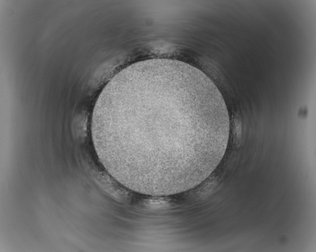 X0000113930668200911061220