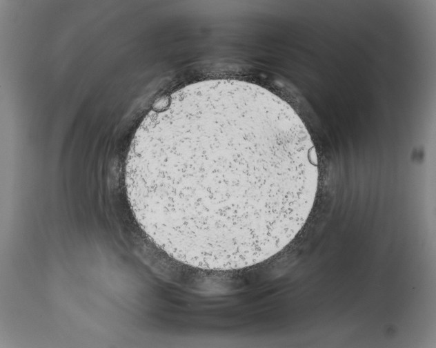 X0000113930669200911061220