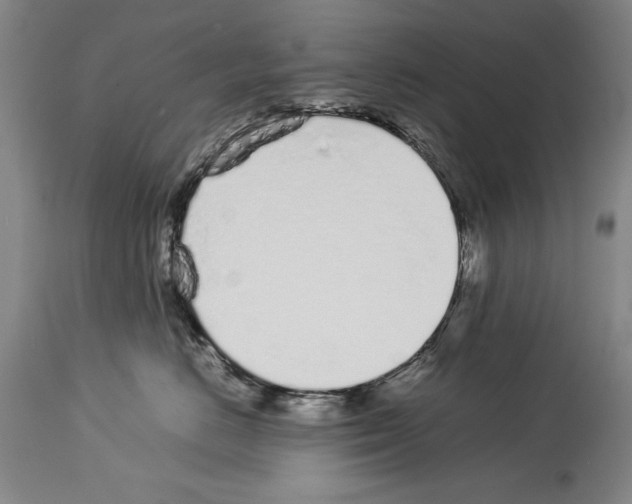 X0000113930670200911061220
