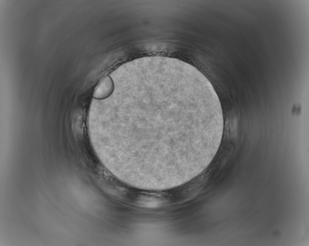 X0000113930671200911061220