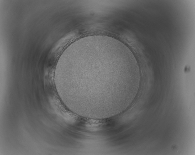 X0000113930672200911061220
