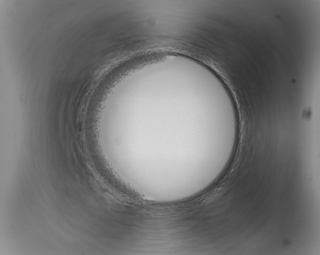 X0000113930673200911061219