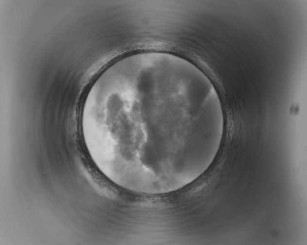 X0000113930674200911061219