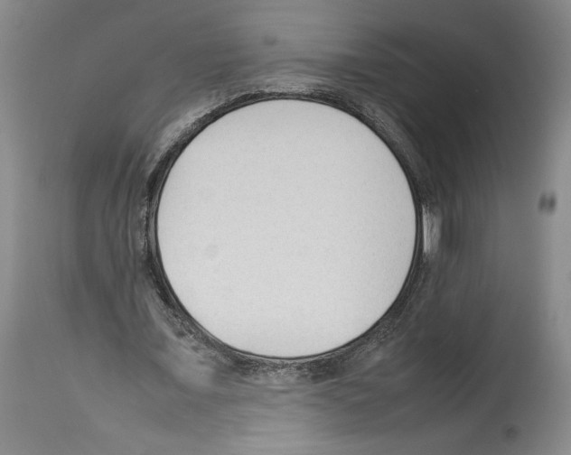 X0000113930675200911061219