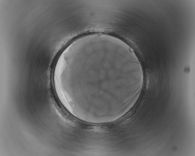 X0000113930678200911061219