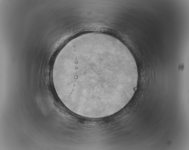 X0000113930679200911061219