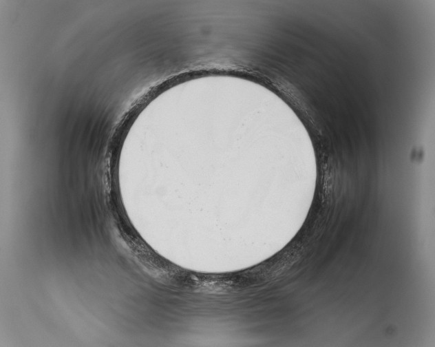 X0000113930680200911061219