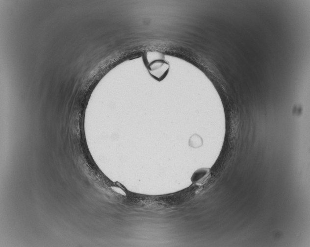 X0000113930681200911061219