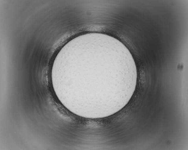 X0000113930682200911061219