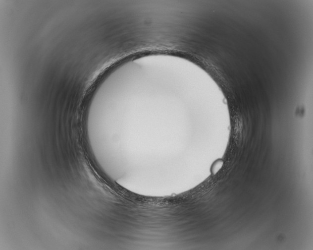 X0000113930684200911061219