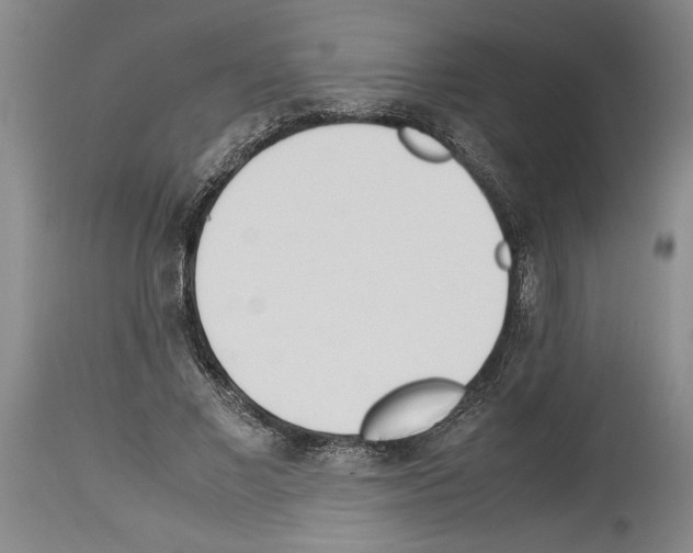 X0000113930685200911061219