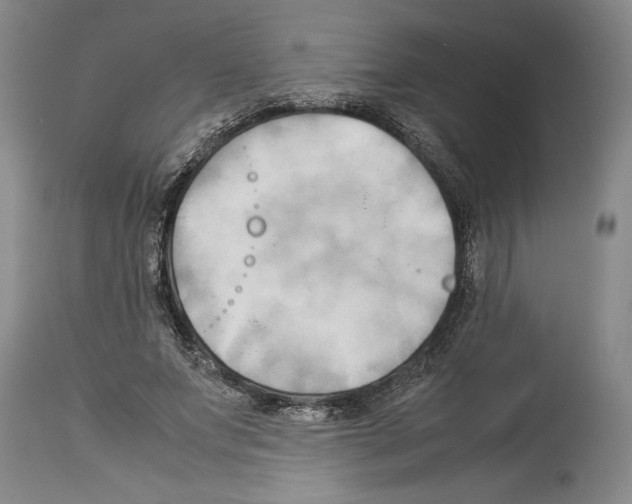 X0000113930687200911061219