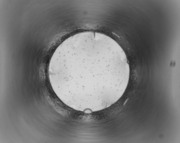 X0000113930688200911061219