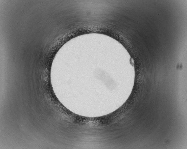 X0000113930689200911061219