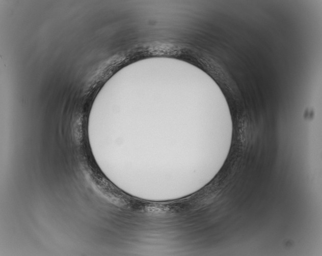 X0000113930690200911061219