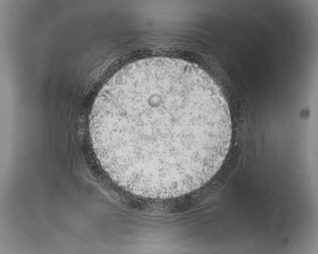 X0000113930691200911061219