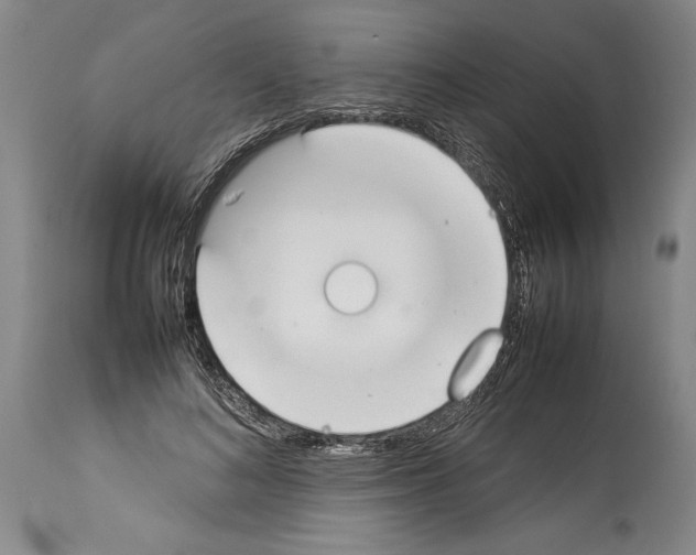 X0000113930692200911061219