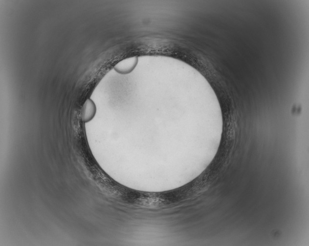 X0000113930695200911061219