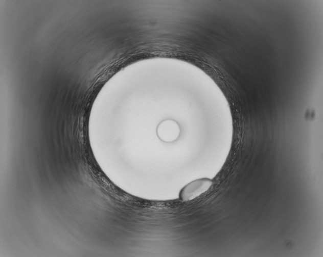 X0000113930696200911061219