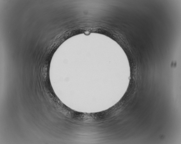 X0000113930697200911061219