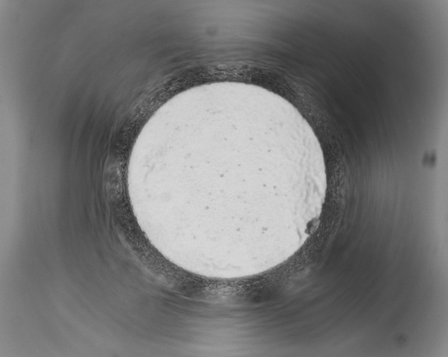 X0000113930699200911061219