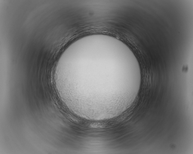 X0000113930700200911061219