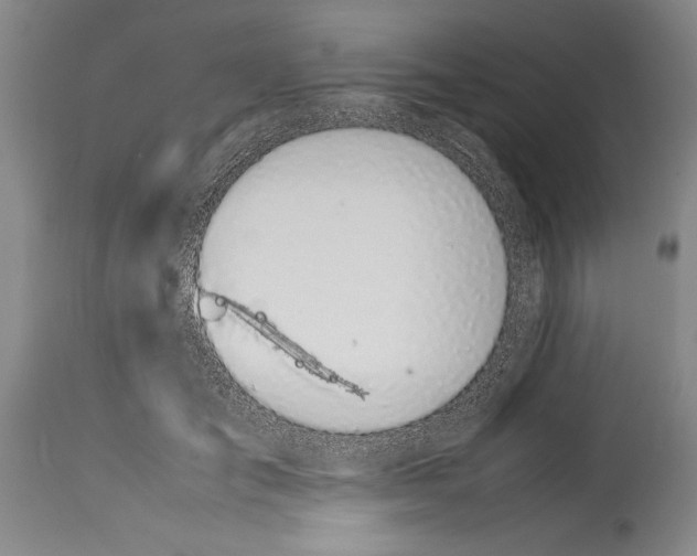 X0000113930701200911061219
