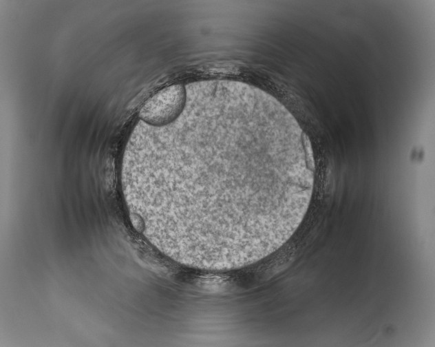 X0000113930704200911061219