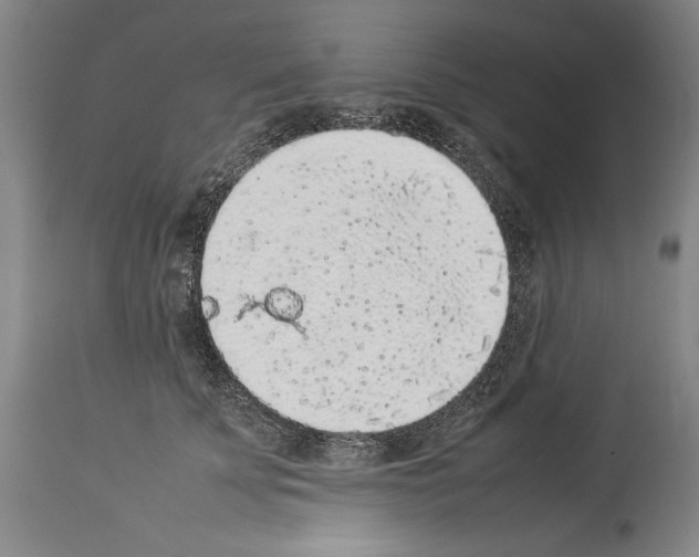 X0000113930707200911061219