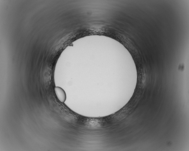 X0000113930710200911061219