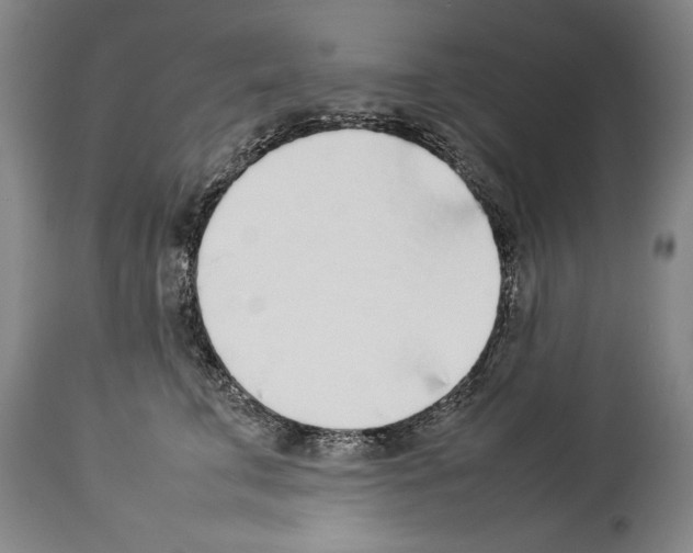 X0000113930711200911061219
