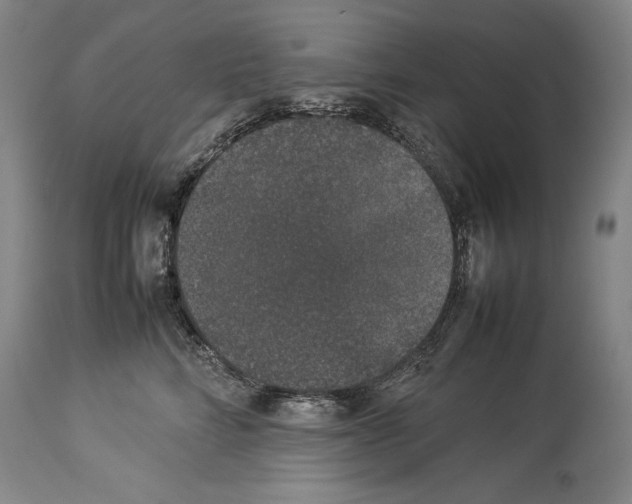 X0000113930712200911061219