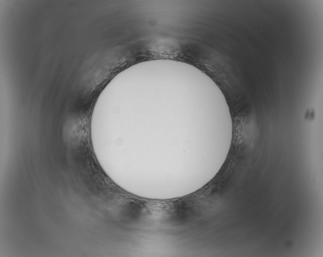 X0000113930713200911061219