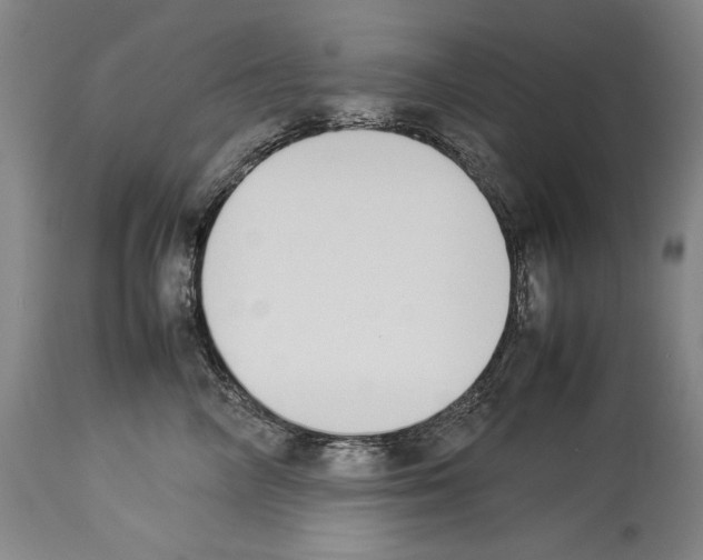 X0000113930714200911061219