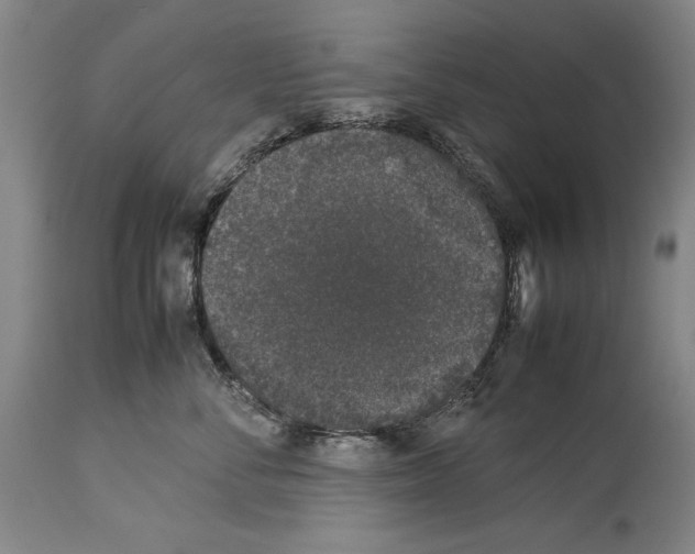 X0000113930716200911061219