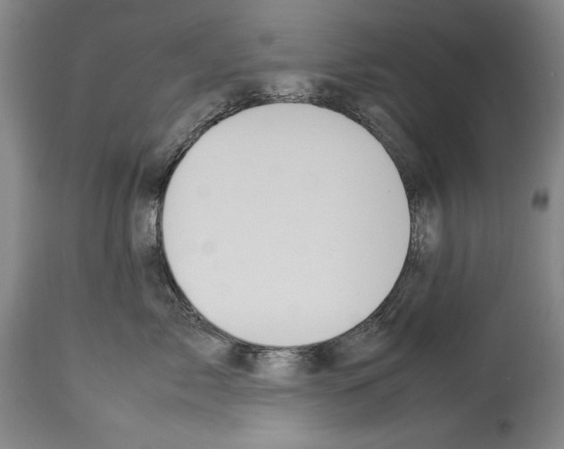 X0000113930717200911061219